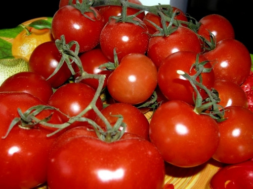 5 top gardening tips for tomato plants