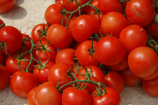 vine_tomatoes