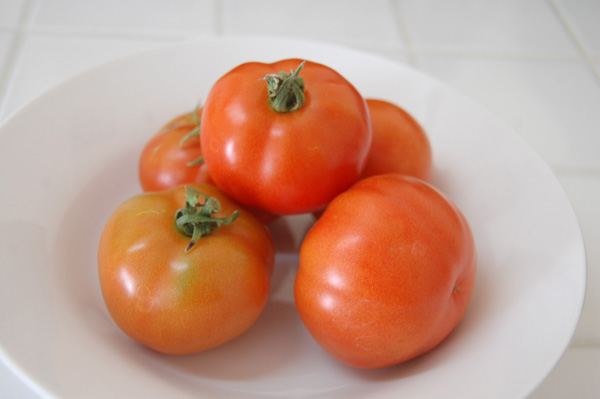 Fresh tomatoes from the garden