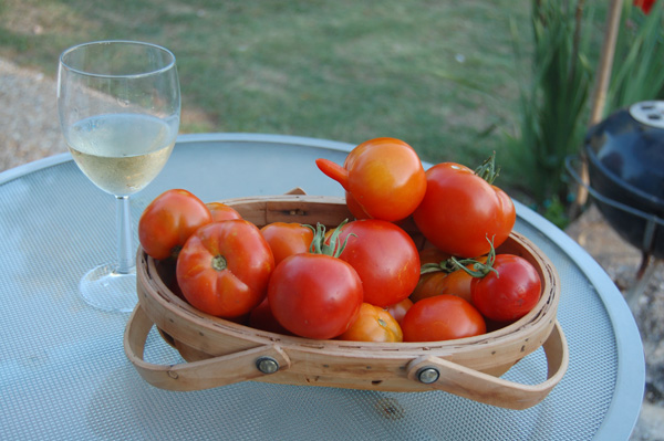 Tomato Types – Tastiest Tomatoes for 2016